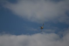 farborough-airshow-july-2012-766.jpg