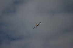 farborough-airshow-july-2012-825.jpg